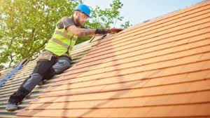 Best Asphalt Shingle Roofing  in Darien, GA