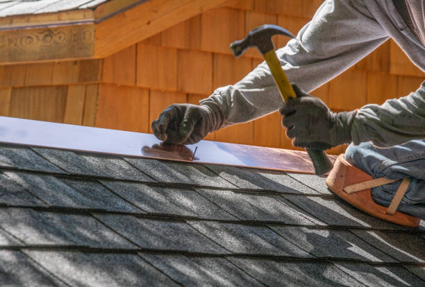 Best Roof Ventilation Installation  in Darien, GA