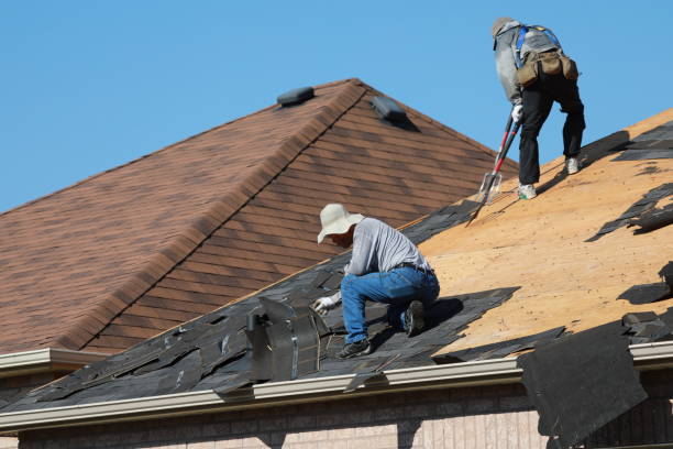 Best 4 Ply Roofing  in Darien, GA