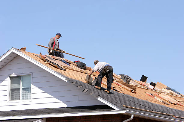 Best Slate Roofing  in Darien, GA