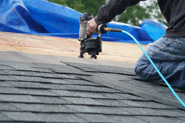 Best Roof Moss and Algae Removal  in Darien, GA