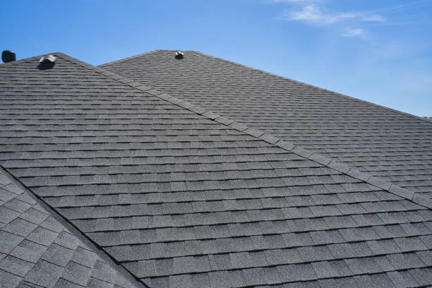 Best Chimney Flashing Repair  in Darien, GA