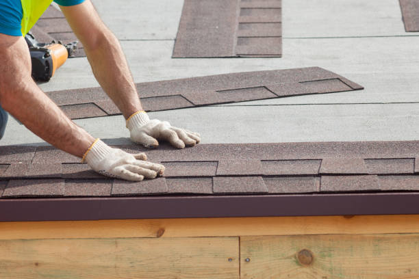 Best Roof Maintenance and Cleaning  in Darien, GA